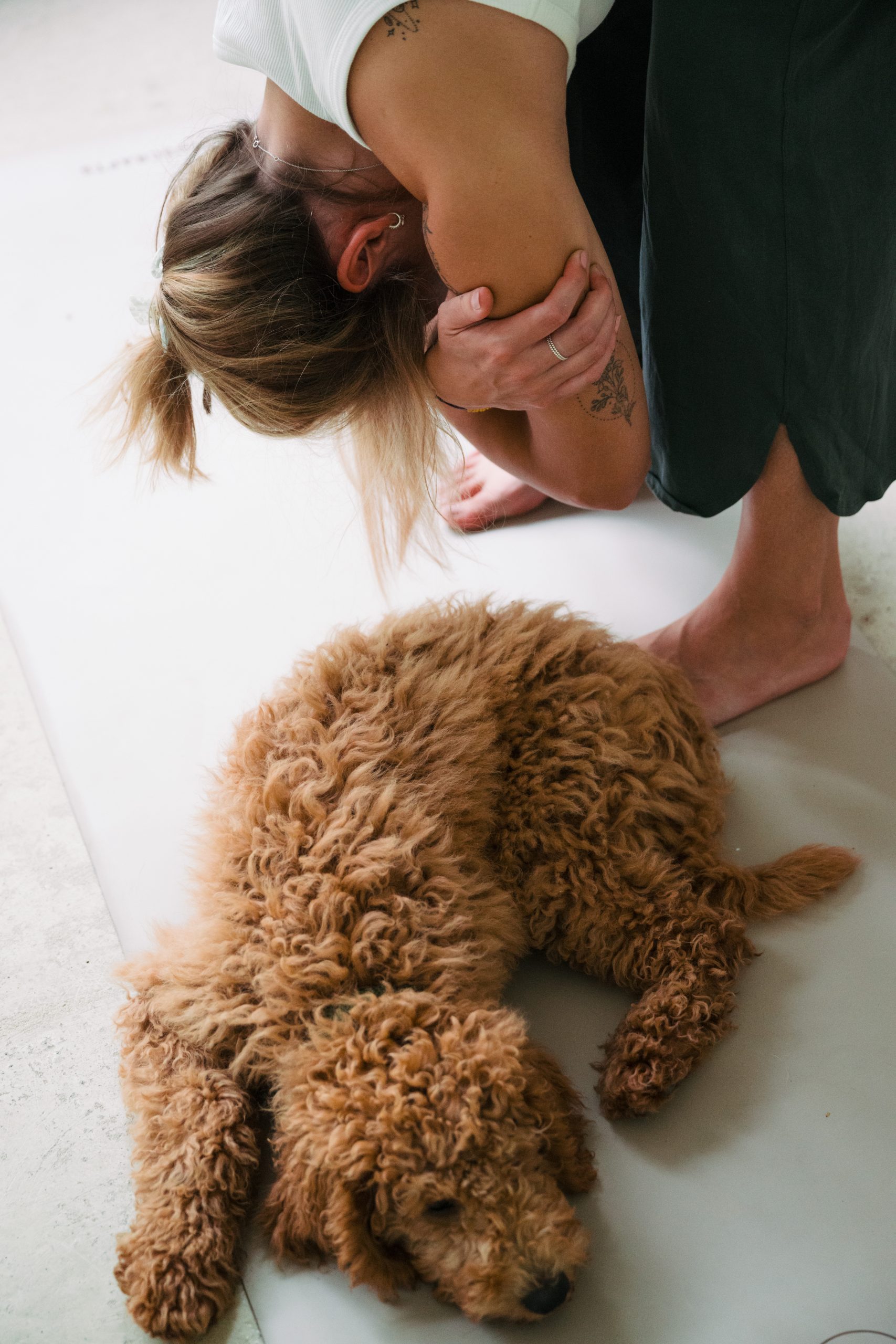 Bianca Cöllen in der Yogahaltung "Stehende Vorwärtsbeuge", daneben liegt ein Hund
