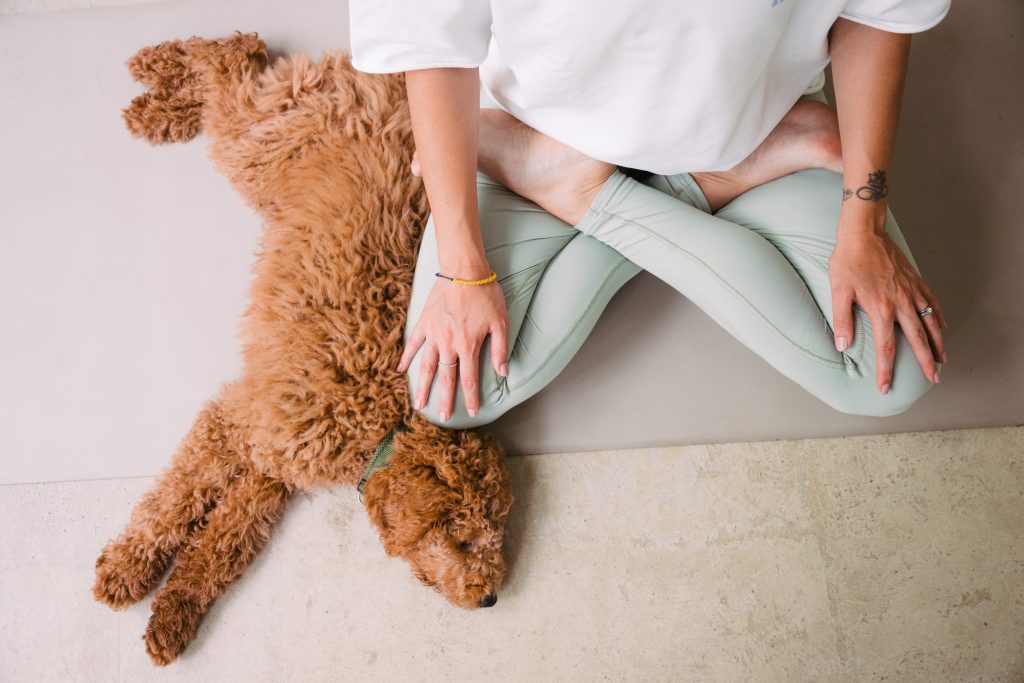 Detailaufnahme von Bianca Cöllen in der Yogahaltung "Lotussitz", daneben liegt ein Hund